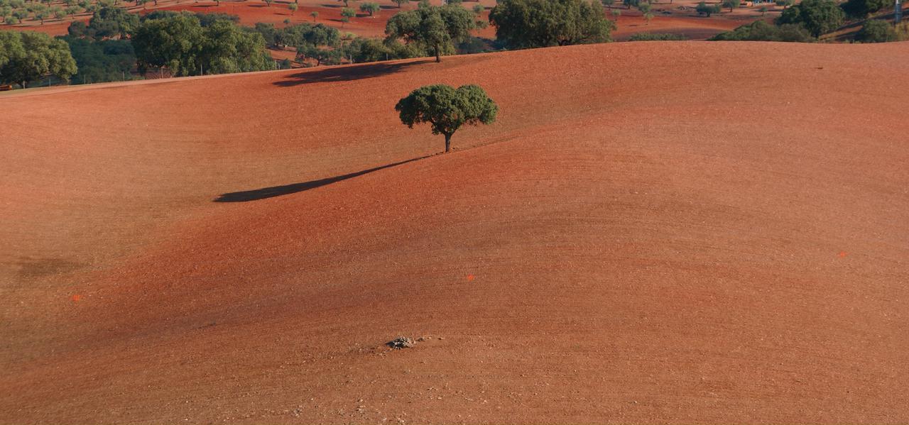 Cantar Do Grilo - Turismo Rural Serpa Exteriér fotografie
